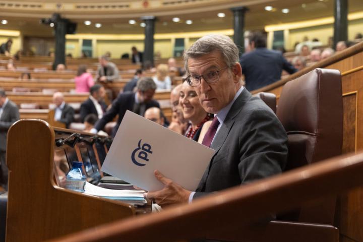 El líder del Partido Popular, Alberto Núñez Feijóo, en una sesión de un pleno del Congreso.