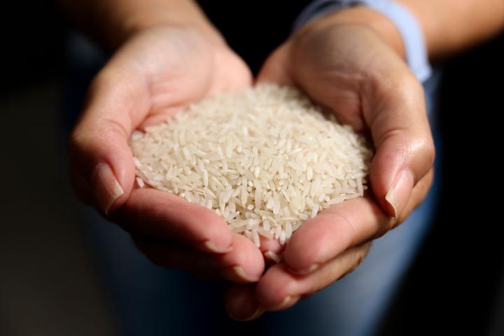 Una persona muestra un buen puñado de arroz