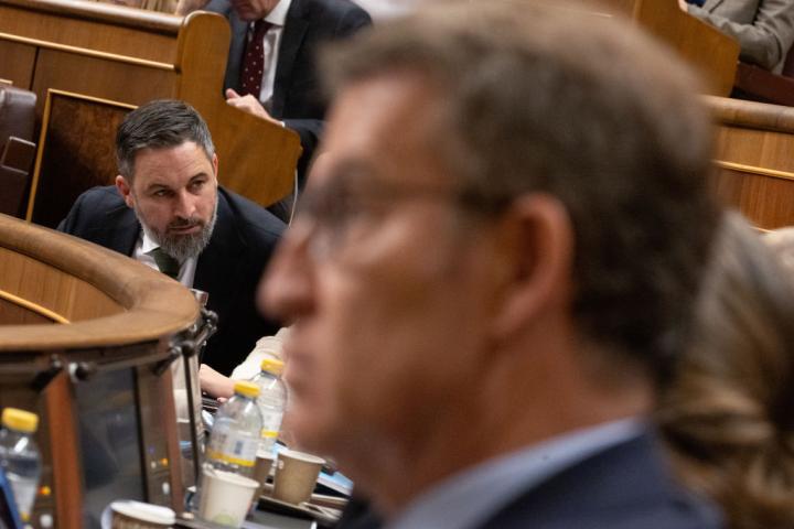 Abascal, en el Congreso, con Feijóo en primer plano