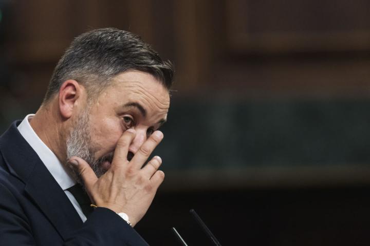 Santiago Abascal gesticula en una intervención en el Congreso