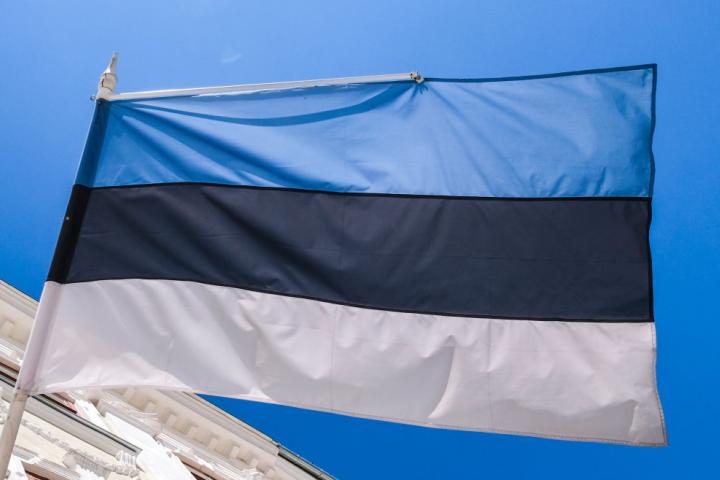 Bandera de Estonia