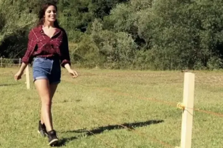 Los pastores eléctricos también son cononidos como cercas eléctricas.