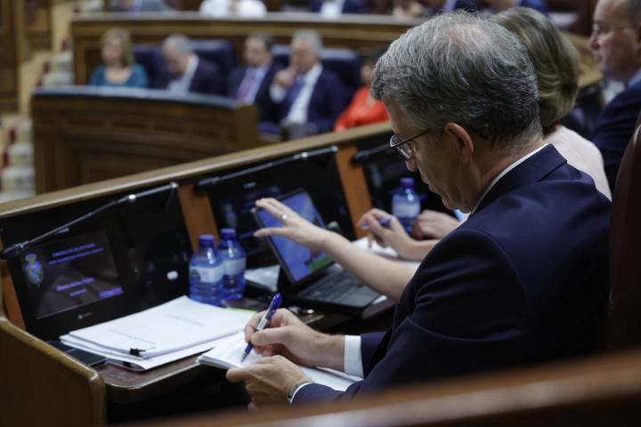 El líder del PP, Alberto Núñez Feijóo, en el Congreso.
