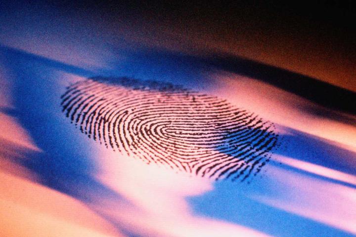 Investigación forense