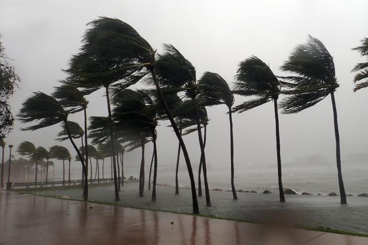 Un ciclón golpea la costa, en una imagen de archivo