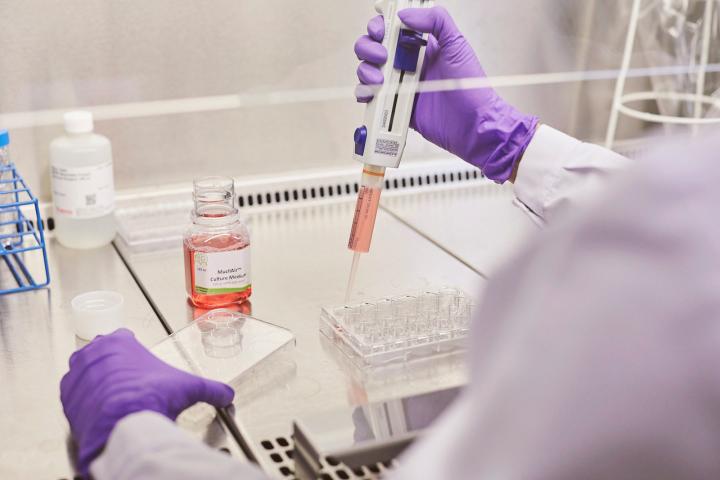 En los últimos años se ha invertido en investigación científica para desarrollar productos alternativos al cigarrillo para los fumadores que siguen fumando.