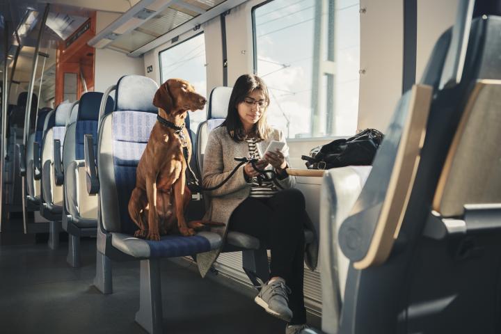 Aumentan los trenes para viajar con perros grandes en el AVE Madrid-Barcelona