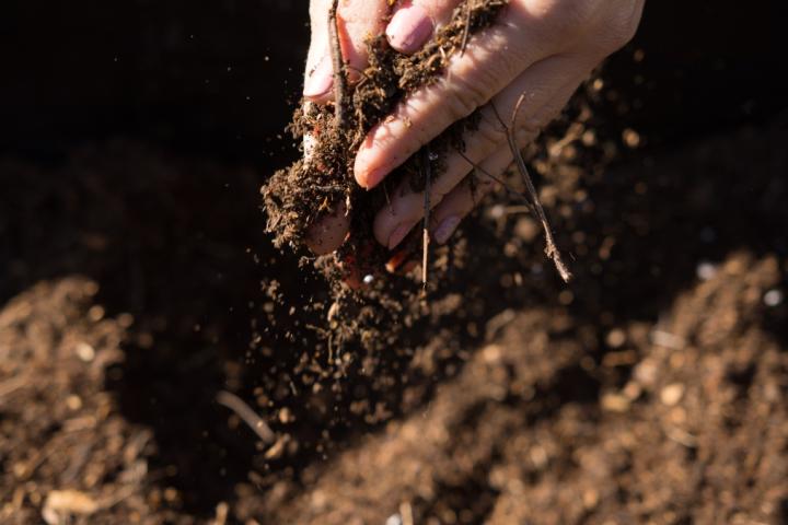 Logran desalar el agua subterránea para uso agrícola