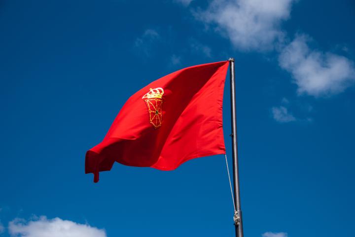 Bandera de Navarra.