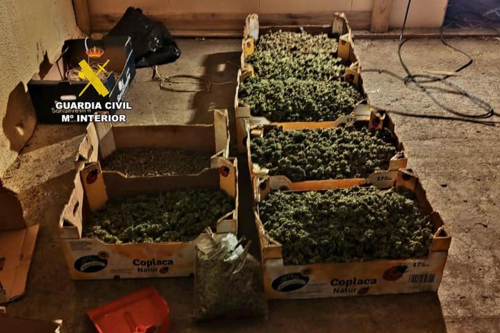 La operación, bajo el nombre 'Copido', se inició en 2023 tras recibir información sobre una posible plantación de marihuana en una finca invernada.