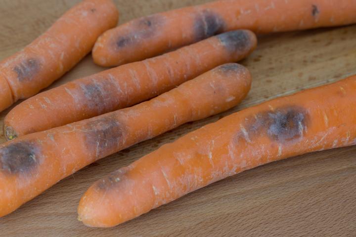 Zanahorias con manchas negras.