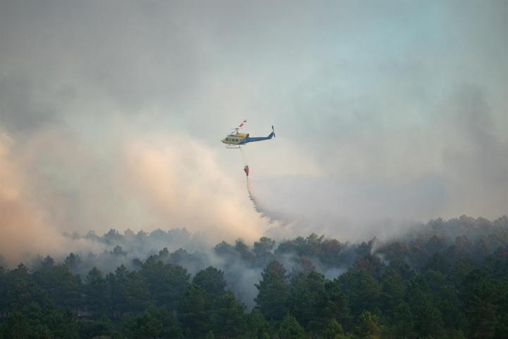 Varios efectivos aéreos actúan durante un incendio forestal, a 17 de agosto de 2024, en Trabazos, Zamora
