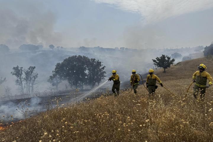 rigadas Forestales, Agentes Forestales y Bomberos CM intentan controlar un incendio declarado este jueves, en Tres Cantos (Comunidad de Madrid).