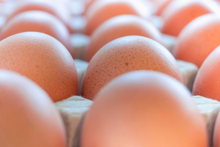 Cartón de huevos