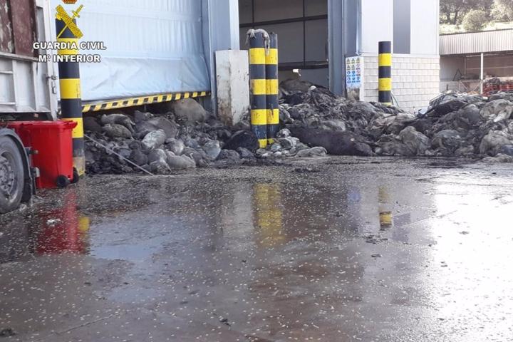 Investigan a cuatro personas al frente del servicio de gestión de animales muertos de C-LM por graves irregularidades.