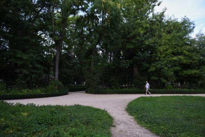 Foto de archivo de un hombre paseando por un parque.