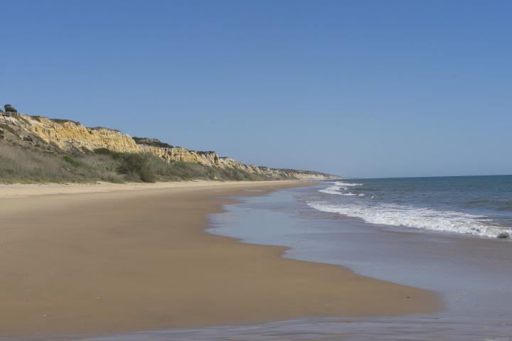 Playa de Doñana, en Huelva.