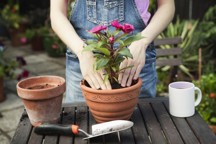 Una mujer practicando horticultura.