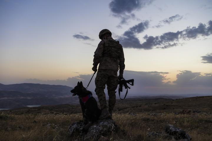 Imagen de archivo de las siluetas de un soldado y un perro.