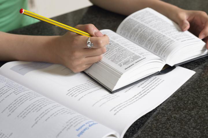 Una joven estudia Lengua Castellana.