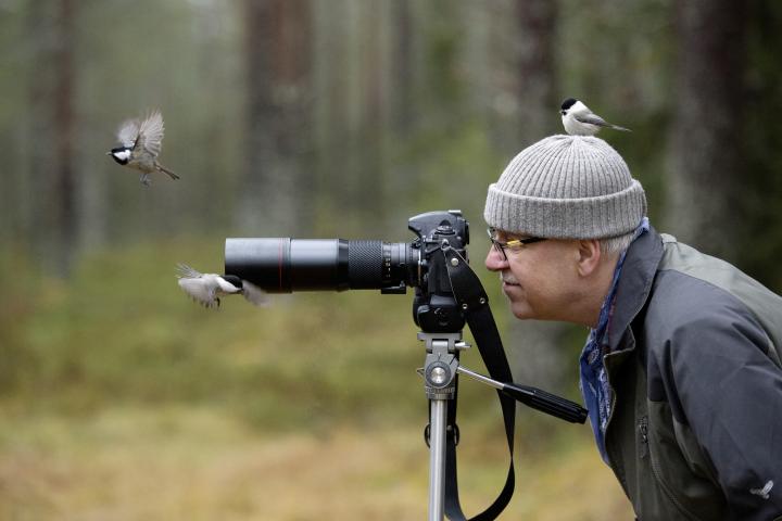Un fotógrafo profesional, rodeado por varios pájaros, toma fotos en plena naturaleza.