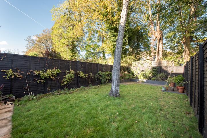 Árboles en un jardín.