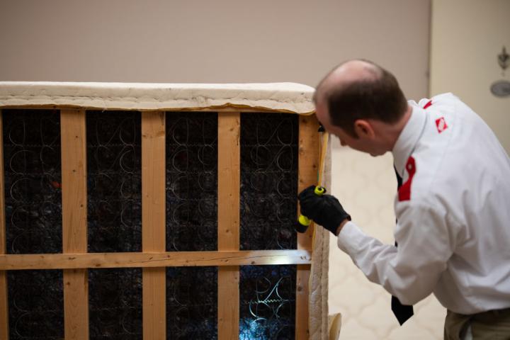 Un especialista limpia una cama infectada de chinches