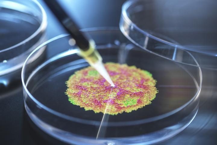 Ilustración digital de una muestra del virus de la polio.