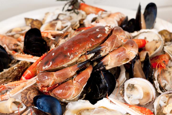 Imagen de archivo de una fuente con marisco, en Cannes (Francia).