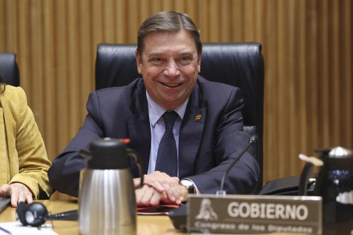 El ministro de Agricultura, Pesca, Luis Planas comparece en el Congreso de los Diputados.