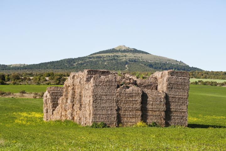 Mercerreyes, en la sierra de Mamblas.