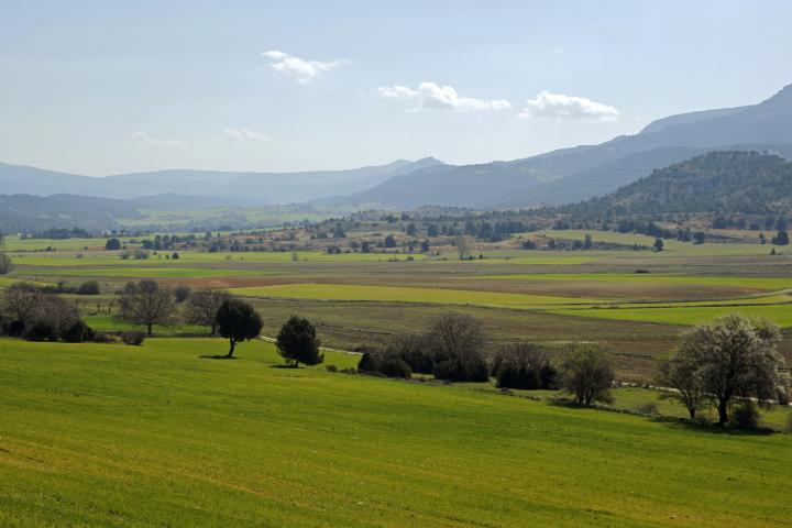 Quintanilla del Coco es una de las poblaciones que están dentro del Parque Natural Sabinares del Arlanza-La Yecla.