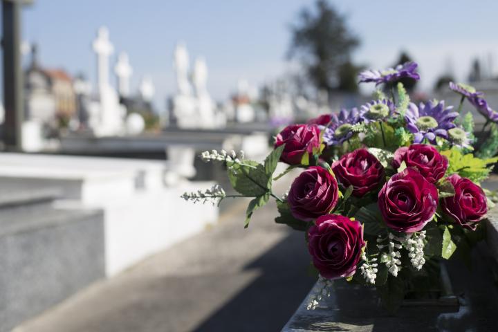 Flores en un cementerio.