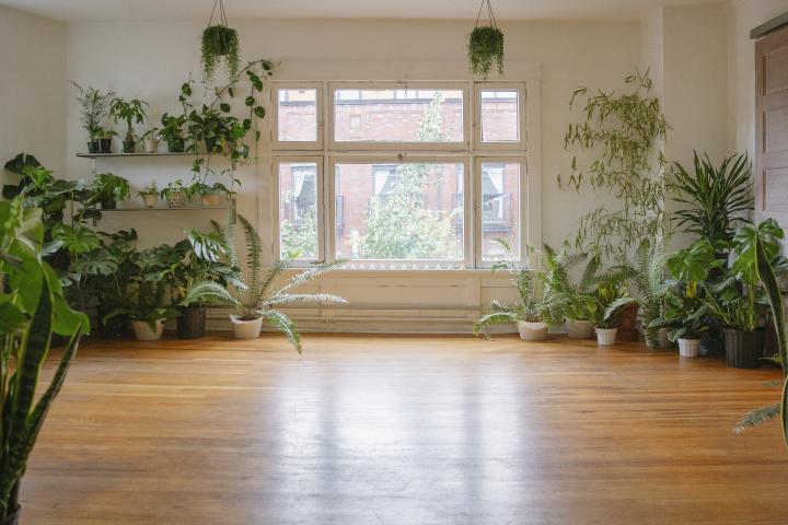 Imagen de un estudio vacío con plantas.