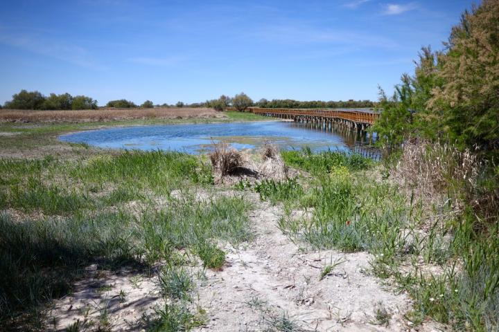 Imagen de archivo de los efectos de la sequía y el estrés hídrico en el parque natural de Las Tablas de Daimiel, en Ciudad Real, Castilla-La Mancha.