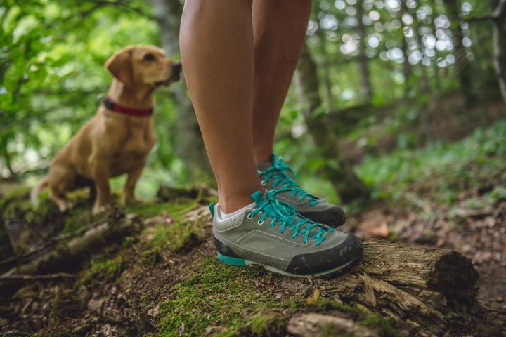 Imagen de archivo de una persona corriendo por el bosque con su perro.