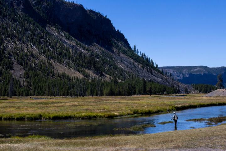 Un hombre pesca en el Parque Nacional de Yellowstone