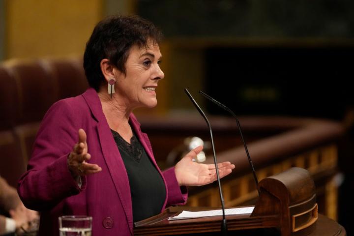Mertxe Aizpurua, en el Congreso