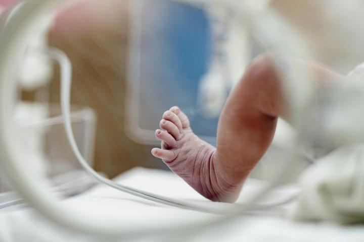 Un bebé prematuro en la incubadora.