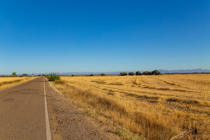 Imagen de archivo de un paisaje en Navarra.