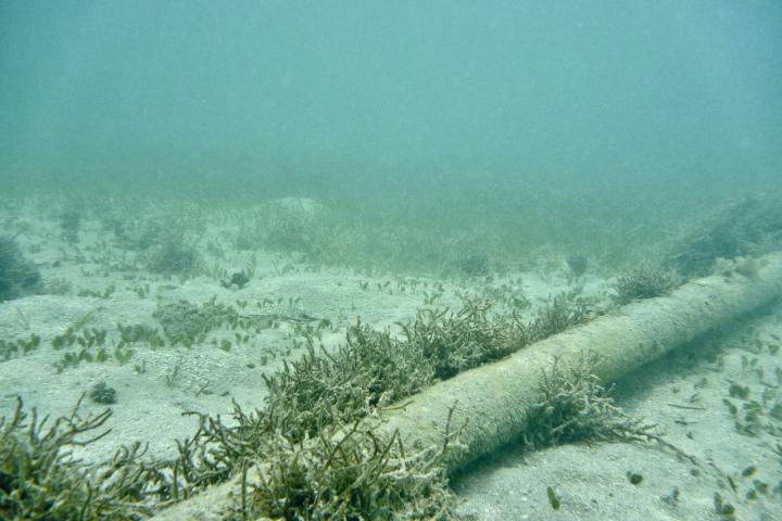 Imagen de archivo de un cable submarino.
