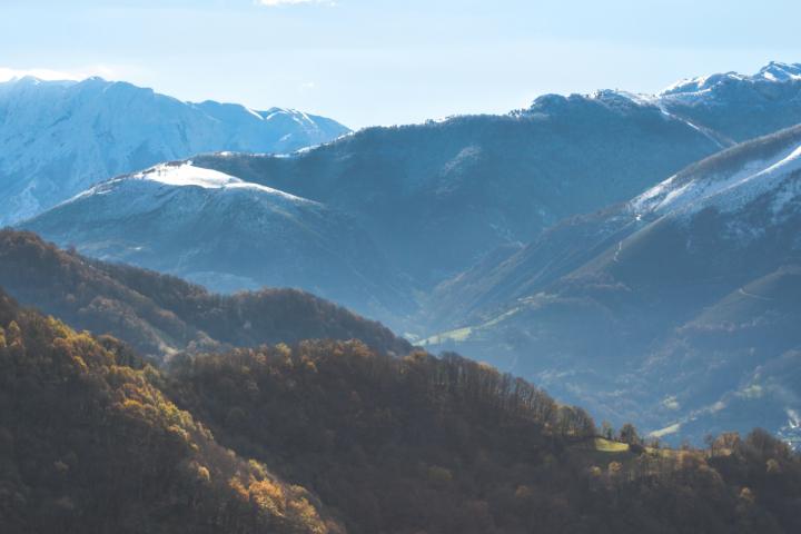 Colores otoñales en un bosque, Cordillera Cantábrica, concejo de Quirós, Asturias.