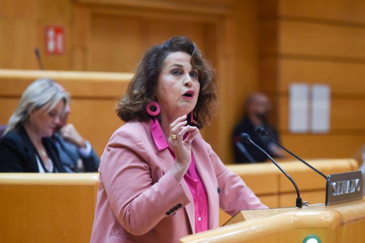 Carla Antonelli, en el Senado