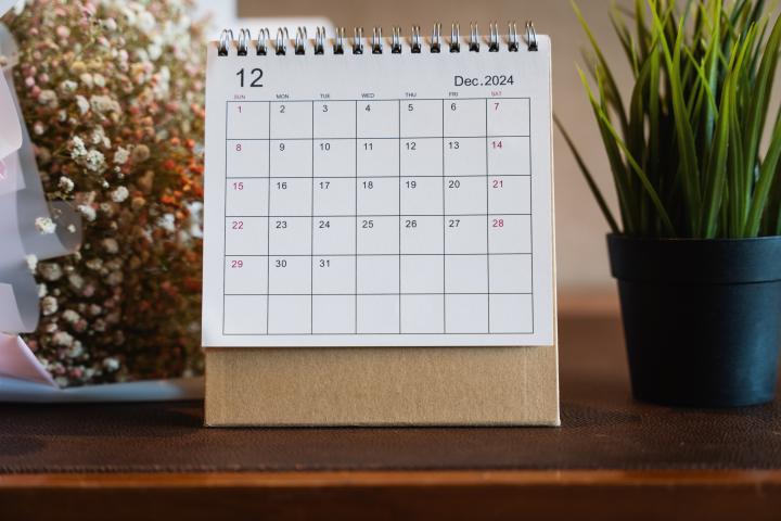 Calendario de diciembre de 2024.