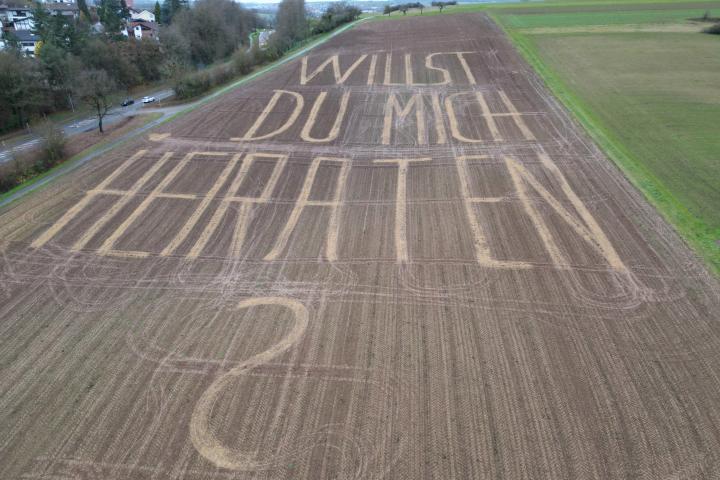 Foto de archivo de lo que ha hecho un agricultor.