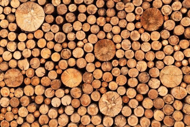 Imagen de archivo de leña estibada.