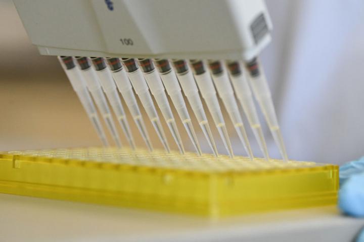 Un investigador realiza pruebas de una vacuna en el laboratorio.