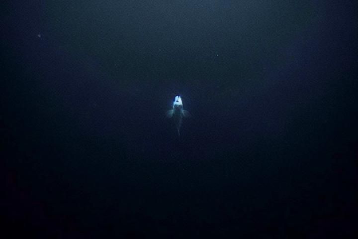 Ilustración generada por inteligencia artificial (IA).