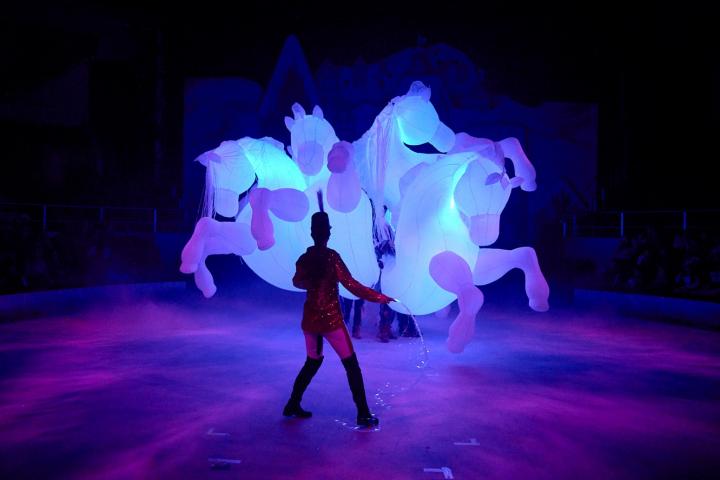 El Circo Price en Navidad.