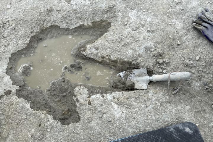 Algunas de las huellas que se pueden ver en la autopista de dinosaurios hallada en Oxford.